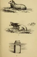 Picture 22 of 25 from Free-hand drawing : a guide to ornamental, figure, and landscape drawing (1868), leaf 105