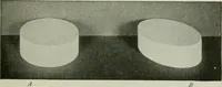 Picture 35 of 58 from Free-hand drawing : a manual for teachers and students (1904), leaf 106