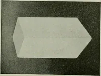 Picture 38 of 58 from Free-hand drawing : a manual for teachers and students (1904), leaf 108