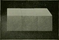 An illustration from Free-hand drawing : a manual for teachers and students (1904)