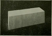 An illustration from Free-hand drawing : a manual for teachers and students (1904)