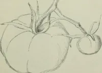 Picture 13 of 58 from Free-hand drawing : a manual for teachers and students (1904), leaf 36