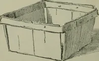An illustration from Free-hand drawing : a manual for teachers and students (1904)