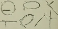 An illustration from Free-hand drawing : a manual for teachers and students (1904)