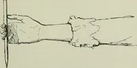 An illustration from Free-hand drawing : a manual for teachers and students (1904)