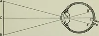 Picture 31 of 58 from Free-hand drawing : a manual for teachers and students (1904), leaf 96