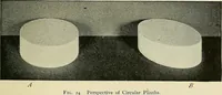 Picture 42 of 64 from Free-hand drawing : a manual for teachers and students (1898), leaf 107
