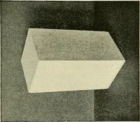 An illustration from Free-hand drawing : a manual for teachers and students (1898)