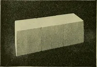 An illustration from Free-hand drawing : a manual for teachers and students (1898)