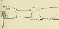 An illustration from Free-hand drawing : a manual for teachers and students (1898)