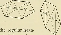 Picture 23 of 64 from Free-hand drawing : a manual for teachers and students (1898), leaf 83