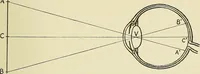 Picture 37 of 64 from Free-hand drawing : a manual for teachers and students (1898), leaf 97