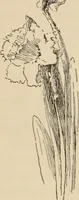 An illustration from Freehand perspective and sketching; principles and methods of expression in the pictorial representation of common objects, interiors, buildings and landscapes (1910)