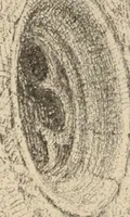An illustration from Freehand perspective and sketching; principles and methods of expression in the pictorial representation of common objects, interiors, buildings and landscapes (1910)