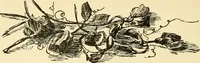 An illustration from Freemasonry in Northumberland (1911)
