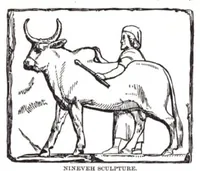 Picture 11 of 13 from FREEMASONS BIBLE (1611), leaf 936