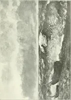 An illustration from French art, classic and contemporary, painting and sculpture (1901)