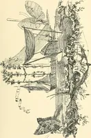 An illustration from French engravers and draughtsmen of the XVIIIth century (1902)