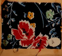 An illustration from [French fabric sample book (1900)