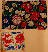 Picture 11 of 111 from [French fabric sample book (1900), leaf 13
