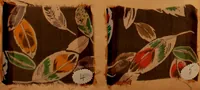 An illustration from [French fabric sample book (1900)
