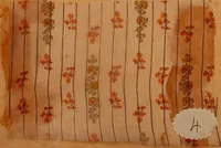 An illustration from [French fabric sample book (1900)