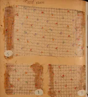 An illustration from [French fabric sample book (1900)