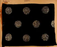 Picture 111 of 111 from [French fabric sample book (1900), leaf 197