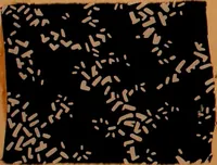 Picture 52 of 114 from [French fabric sample book (1900), leaf 93