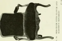 Picture 50 of 99 from French furniture under Louis XV (1920), leaf 190