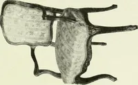 An illustration from French furniture under Louis XV (1920)