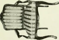 An illustration from French furniture under Louis XV (1920)