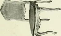 An illustration from French furniture under Louis XV (1920)