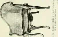Picture 77 of 99 from French furniture under Louis XV (1920), leaf 206