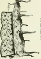 Picture 85 of 99 from French furniture under Louis XV (1920), leaf 210