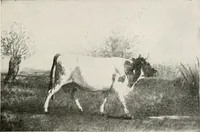 An illustration from French pictures and their painters (1922)