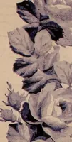 An illustration from [French textiles] (1863)