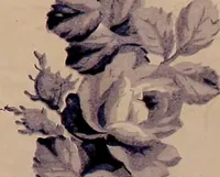 An illustration from [French textiles] (1863)