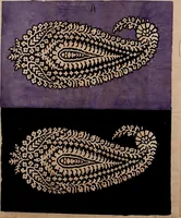 Picture 11 of 72 from [French textiles] (1863), leaf 49