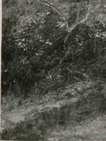 An illustration from Group of twenty-four paintings of the French, Spanish, German and American schools [electronic resource] (1908)