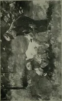 An illustration from Catalogue of paintings, etchings, engravings and sculpture [electronic resource] \ (1907)