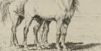 An illustration from Catalogue of the etched work of Evert van Muyden [electronic resource] (1894)