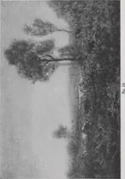An illustration from A group of paintings by Murphy, Tryon, Walker and Wyant [electronic resource] (1918)