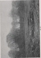 An illustration from A group of paintings by Murphy, Tryon, Walker and Wyant [electronic resource] (1918)