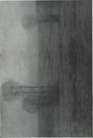 An illustration from A group of paintings by Murphy, Tryon, Walker and Wyant [electronic resource] (1918)