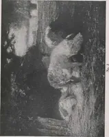 An illustration from A group of paintings by Murphy, Tryon, Walker and Wyant [electronic resource] (1918)