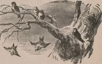 An illustration from Catalogue of the loan exhibition in aid of the Society of Decorative Art [electronic resource] : consisting of gems of the modern, foreign and American schools of painting and rare examples of various art industries (1877)