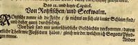 An illustration from Friderich Martens vom Hamburg Spitzbergische oder groenlandische Reise Beschreibung gethan im Jahr 1671. : Aus eigner Erfahrunge beschrieben, die dazu erforderte Figuren nach dem Leben selbst abgerissen, (so hierbey in Kupfferzusehen) und jetzo durch den Druck mitgetheilet (1675)