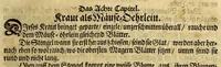 An illustration from Friderich Martens vom Hamburg Spitzbergische oder groenlandische Reise Beschreibung gethan im Jahr 1671. : Aus eigner Erfahrunge beschrieben, die dazu erforderte Figuren nach dem Leben selbst abgerissen, (so hierbey in Kupfferzusehen) und jetzo durch den Druck mitgetheilet (1675)