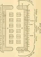 An illustration from Friedrich Froebel's Education by development (1899)